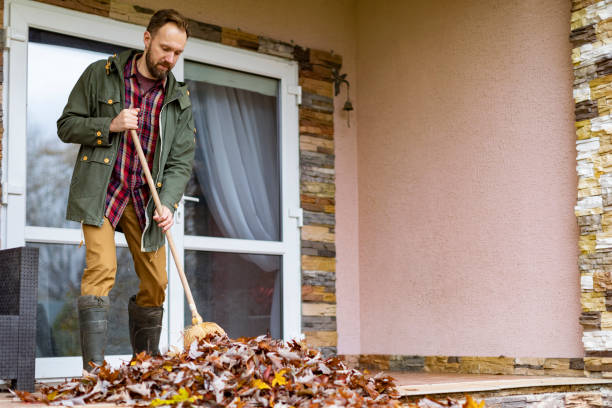 Best Full-Service Junk Removal  in Dike, IA